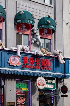 维权困境突围:机制博弈下的消费者权益保障之道。 情感心理