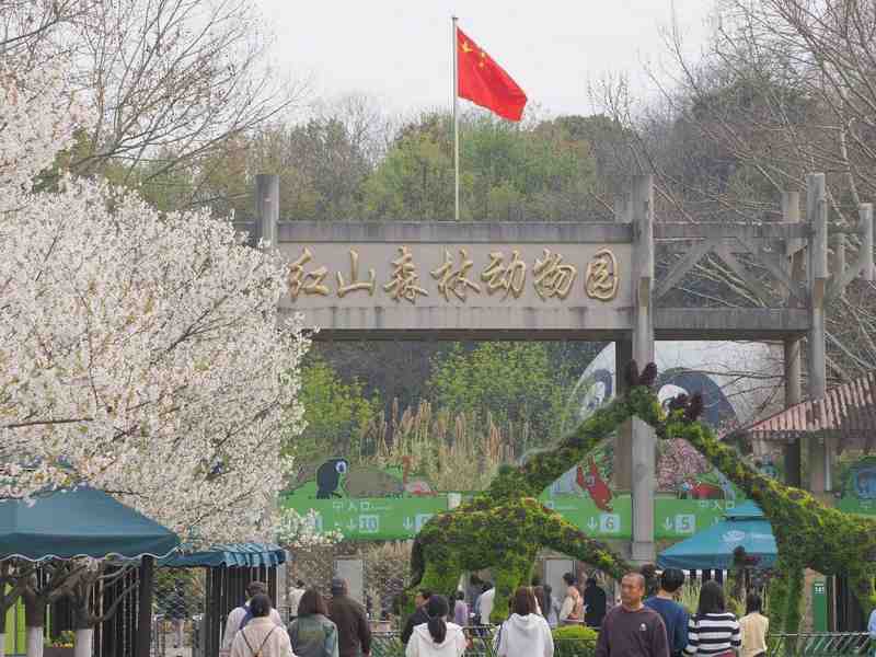 数字化研学平台:如何将城市文旅资源转化为长三角亲子流量池 新闻 数字化研学平台:如何将城市文旅资源转化为长三角亲子流量池 新闻