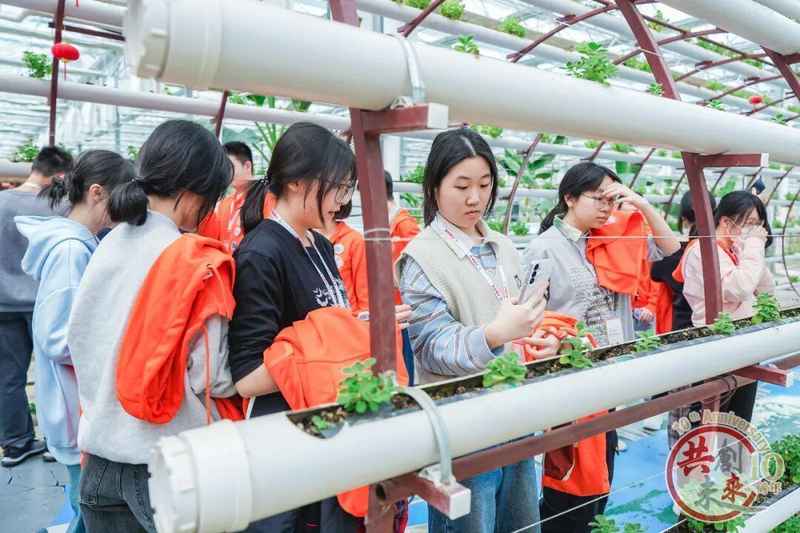 华东无人机基地深度探访:金山如何用科技创新征服香港青年 文化旅游
