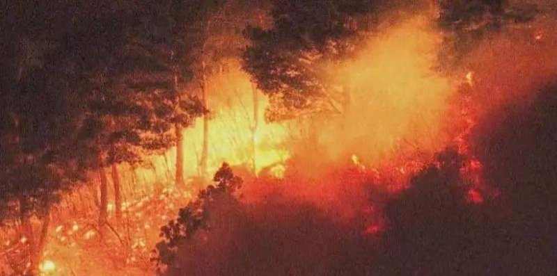  【灾害链式反应深度剖析】日本三重天灾背后的地质密码与应急机制失效 新闻