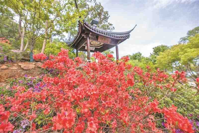  Color Walk背后的数据密码：无锡五一旅游预订热度同比增长35%深度复盘 新闻 Color Walk背后的数据密码：无锡五一旅游预订热度同比增长35%深度复盘 新闻 Color Walk背后的数据密码：无锡五一旅游预订热度同比增长35%深度复盘 新闻 Color Walk背后的数据密码：无锡五一旅游预订热度同比增长35%深度复盘 新闻 Color Walk背后的数据密码：无锡五一旅游预订热度同比增长35%深度复盘 新闻