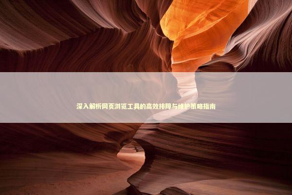 深入解析网页浏览工具的高效排障与维护策略指南