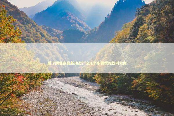 想了解北京最新动态?这几个步骤帮你找对方向 想了解北京最新动态?这几个步骤帮你找对方向 新闻