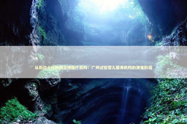 从街边小诊所到正规医疗机构：广州试管婴儿服务机构的演变历程