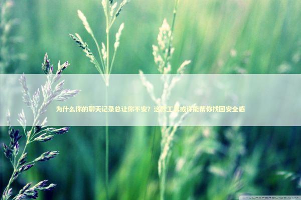 为什么你的聊天记录总让你不安？这款工具或许能帮你找回安全感
